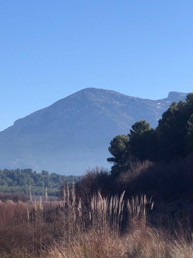 Apartamentos Rurales Mirador Del Negratin Cuevas del Campo エクステリア 写真